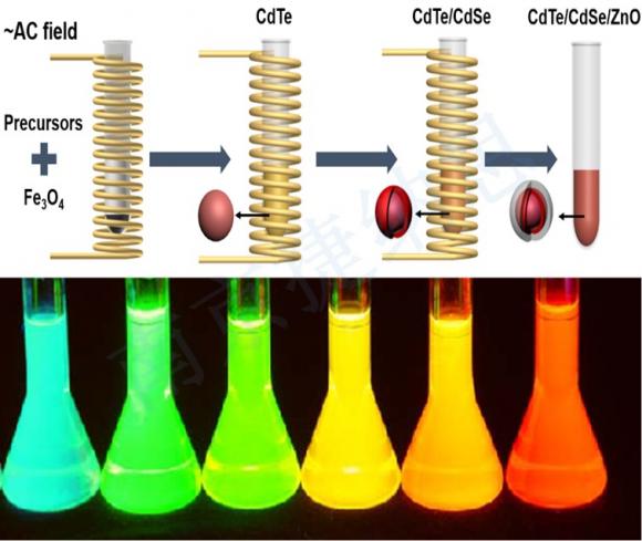 Oil soluble quantum dots